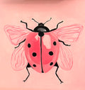 lady bug
