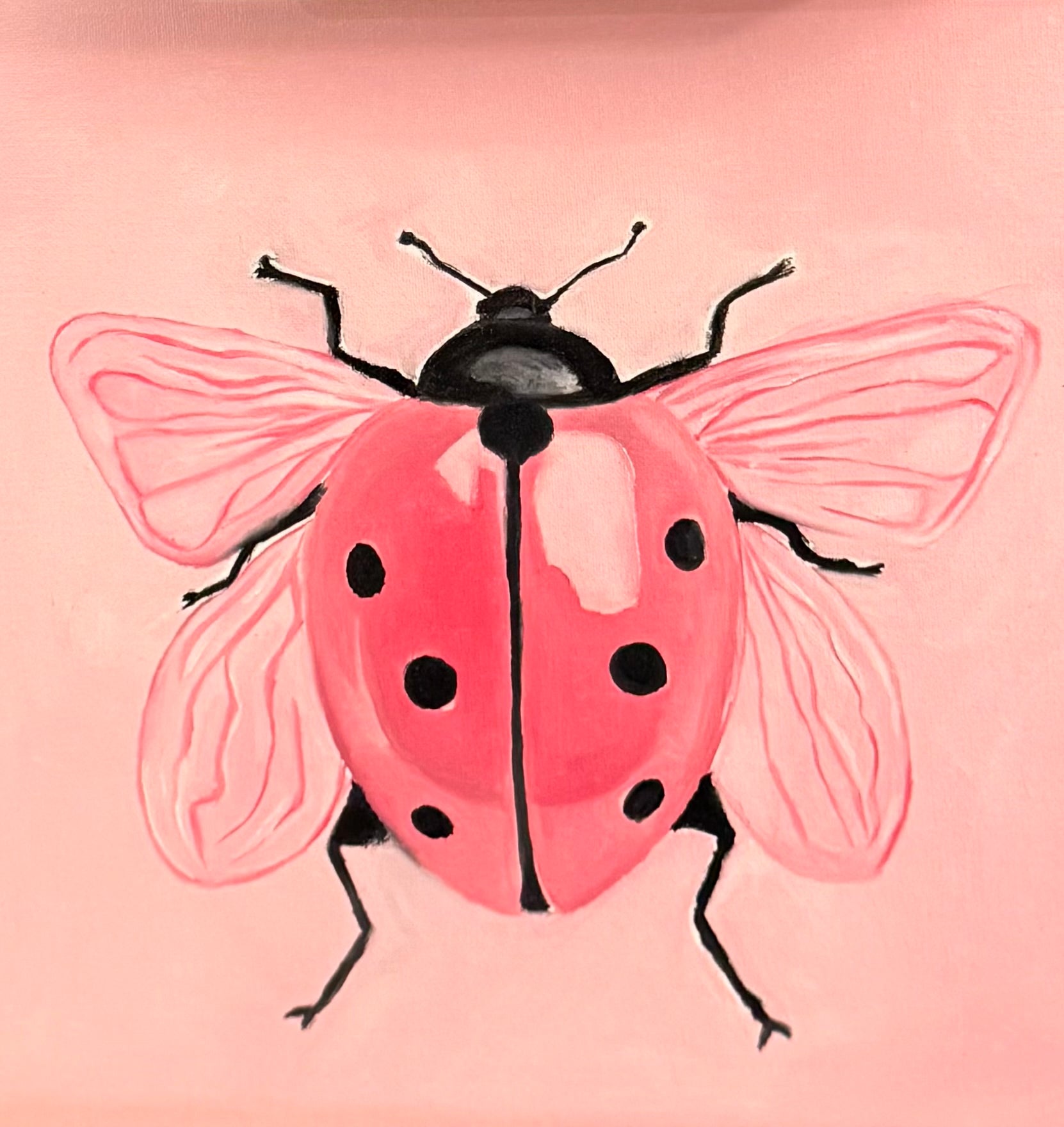 lady bug